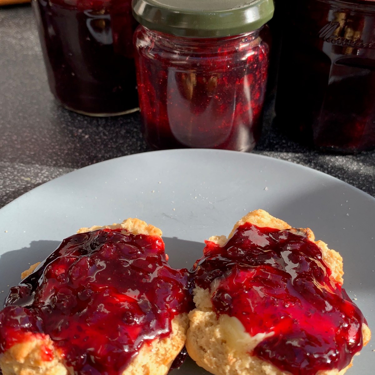 Cranberry Scones